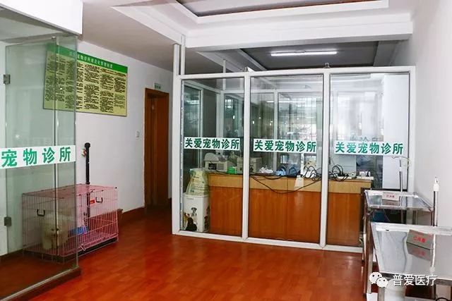 以仁医之心关爱宠物健康 以仁医之心关爱宠物健康