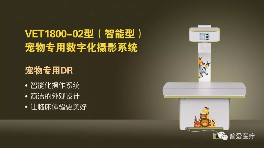 以仁医之心关爱宠物健康 以仁医之心关爱宠物健康